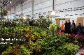 نمایشگاه گل و گیاه در سایت جدید نمایشگاه بین المللی همدان